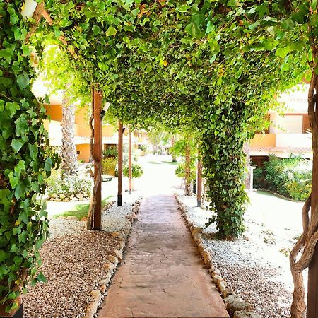 La Entrada Beach Club 또레비에하 외부 사진