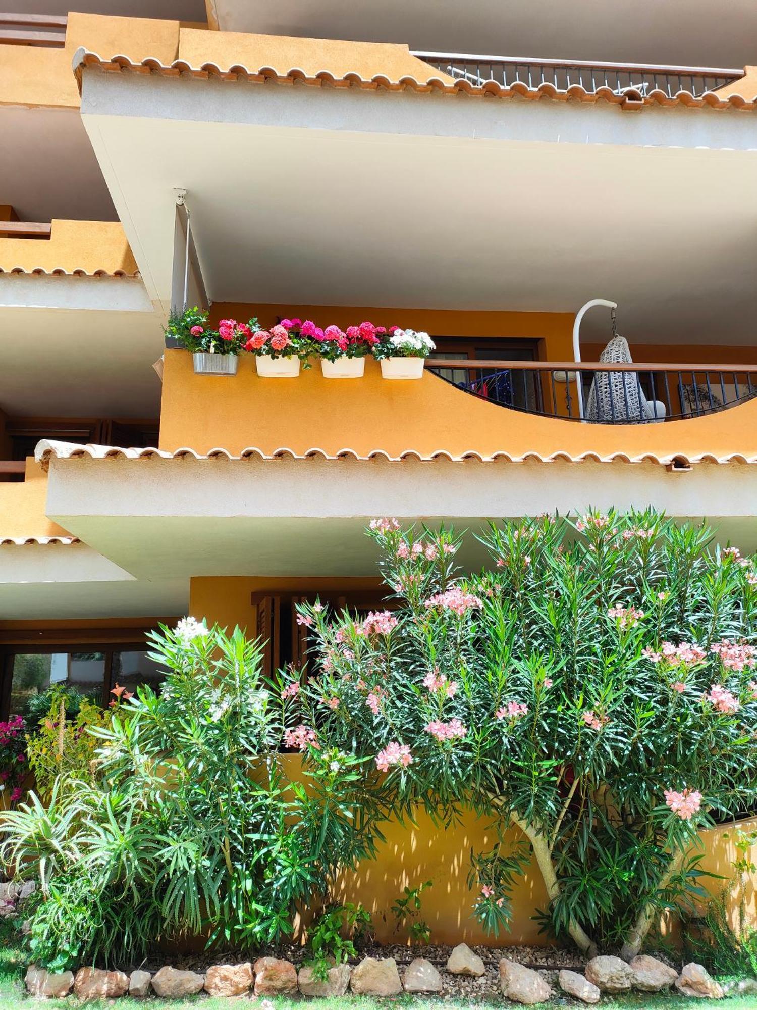 La Entrada Beach Club 또레비에하 외부 사진